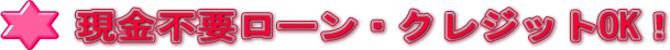 現金不要ローン・クレジットOK!